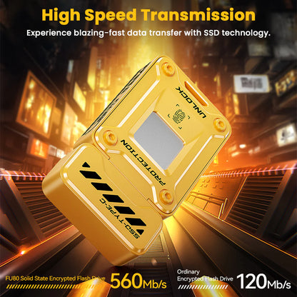 128GB/256GB Fingerprint Encrypted Solid State Flash Drive – 0.5s Unlock, AES256 Security & 560MB/s Ultra-Fast Transfer